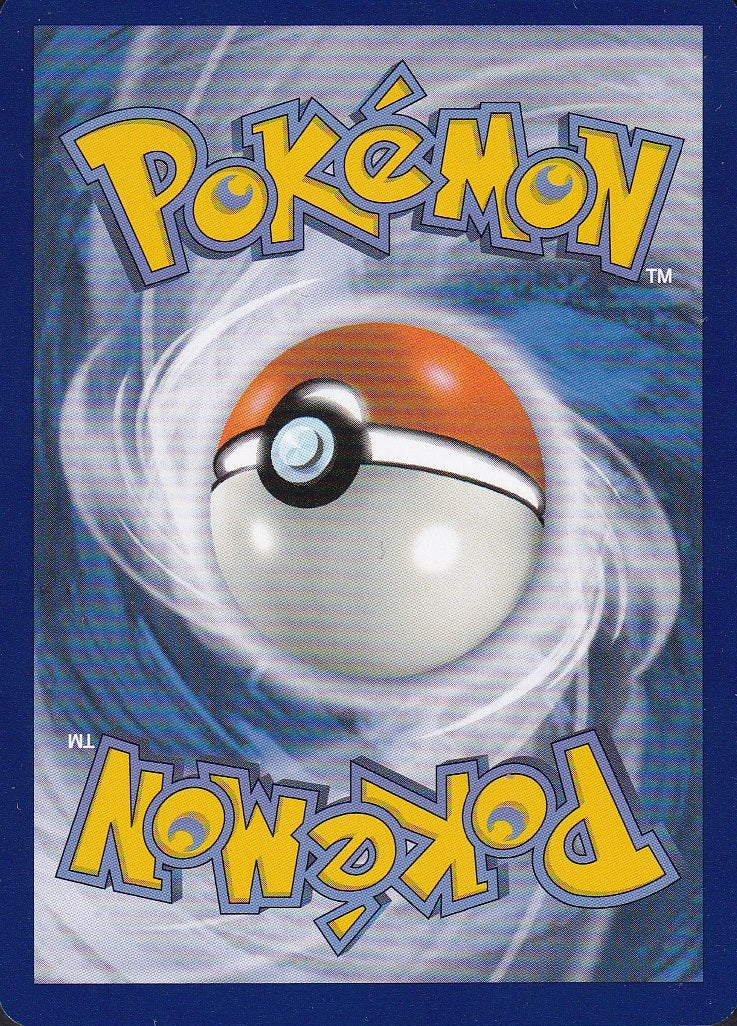 Swinub 165/159 Journey Together Illustration Rare Holo | Near Mint