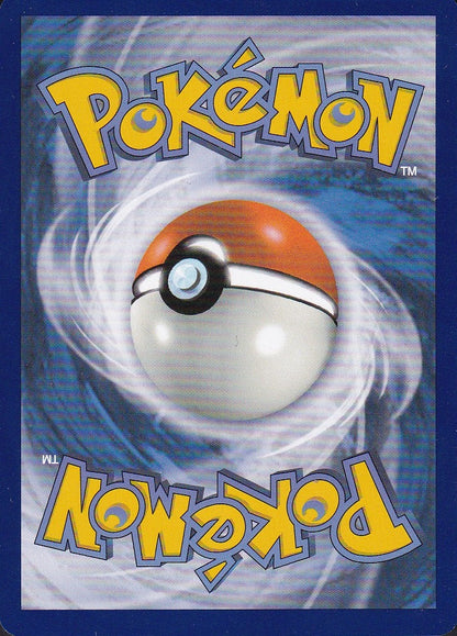 Swinub 165/159 Journey Together Illustration Rare Holo | Near Mint