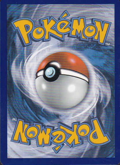 Eevee V SWSH065 Sword & Shield Black Star Promo Holo | Lightly Played
