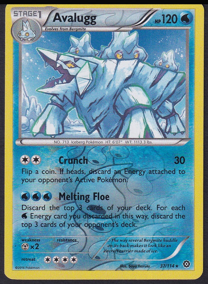 Avalugg 37/114 XY Steam Siege common front