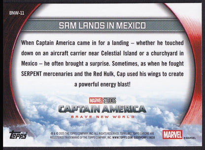 Pokémon card back