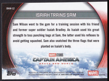 Pokémon card back