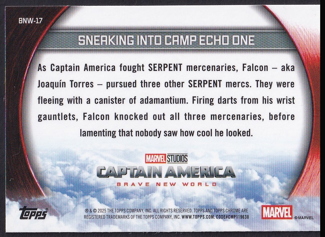Pokémon card back