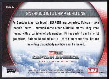 Pokémon card back