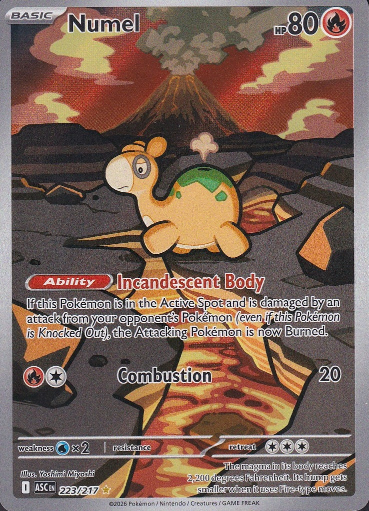 Numel 223/217 Ascended Heroes Illustration Rare Near Mint card