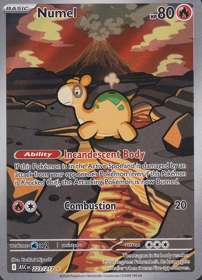 Numel 223/217 Ascended Heroes Illustration Rare Near Mint card