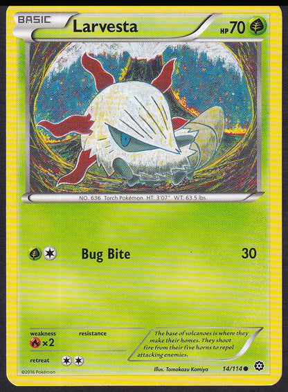 Larvesta 14/114 XY Steam Siege common front